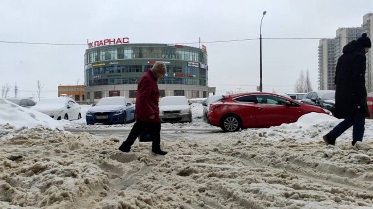 Жители Петербурга раскритиковали Беглова за плохую уборку снега