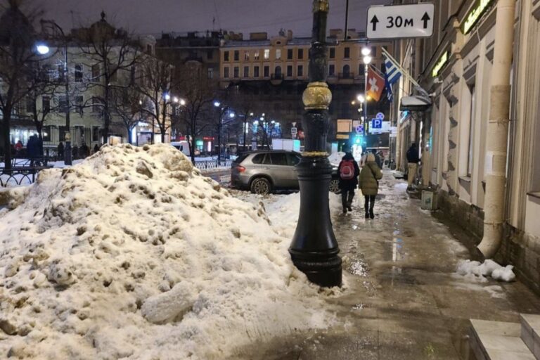 Смольный принудил бюджетников Петербурга выйти на очистку улиц от снега и льда