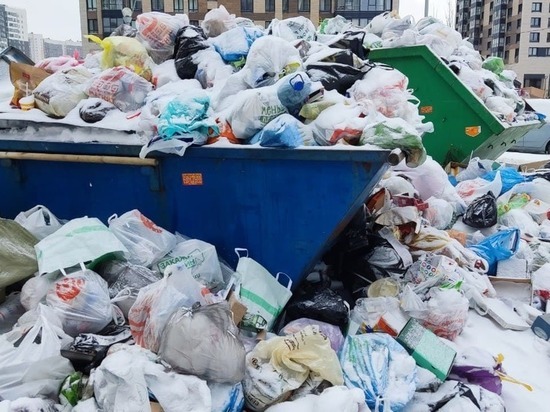 Санкт-Петербург занял лидирующее место по количеству мусора во дворах