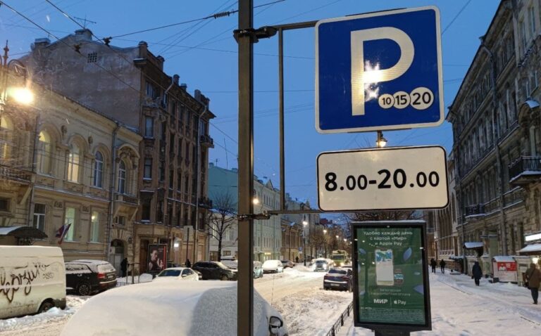 Депутат Борис Вишневский предложил Комтрансу убирать платные парковки за собственные деньги