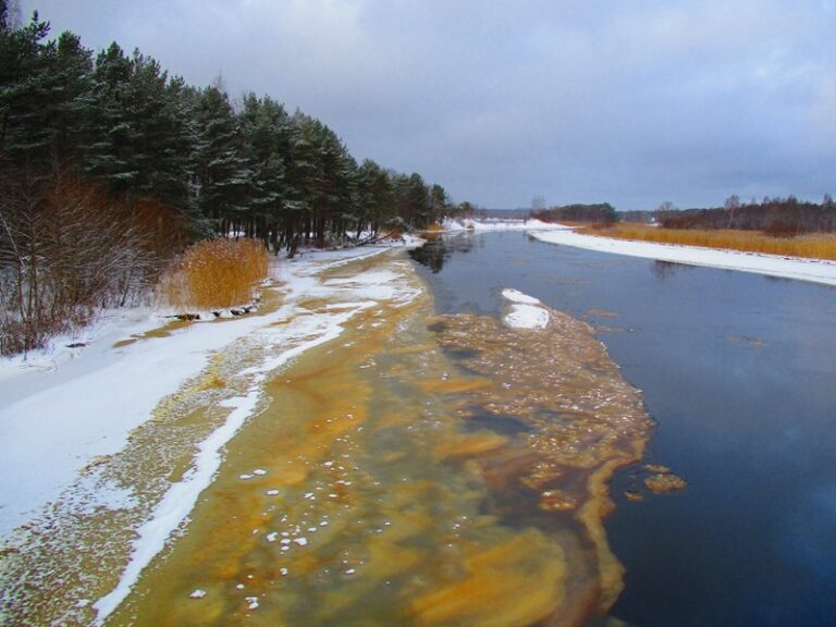 В Ленобласти будут расчищать реку Коваши, которая впадает в Финский залив