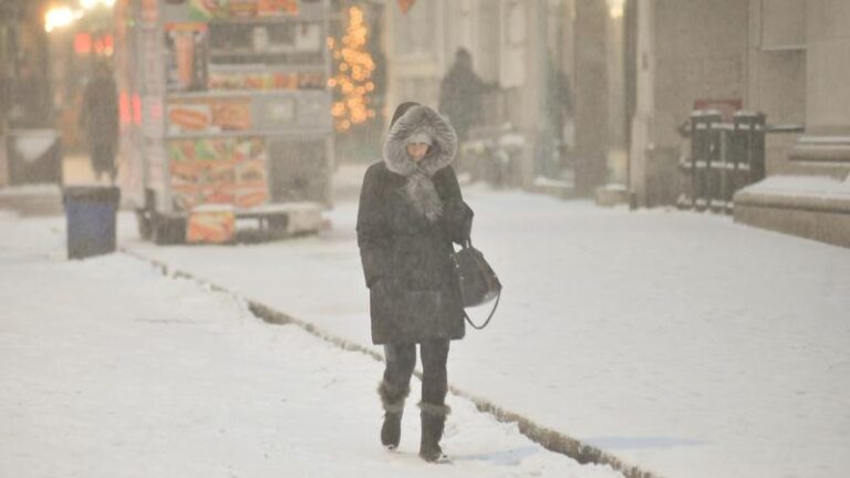 В Петербурге обновился рекорд по количеству выпавшего снега