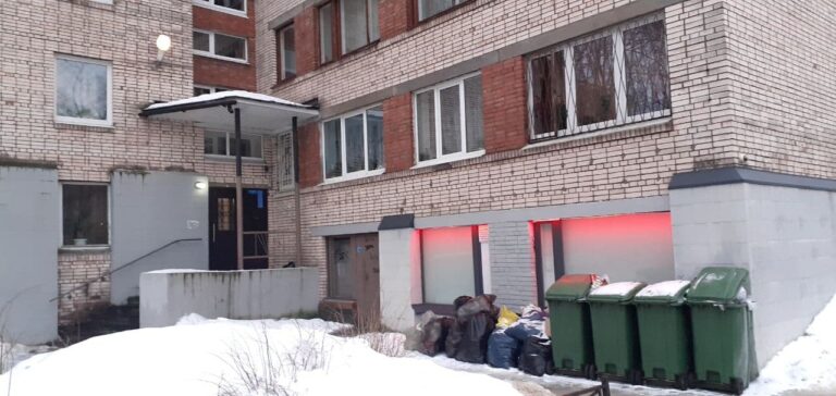 Во дворах Санкт-Петербурга снова начал копиться мусор