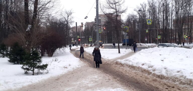 Пожилые петербуржцы испытывают серьезные трудности с передвижением из-за неубранных улиц