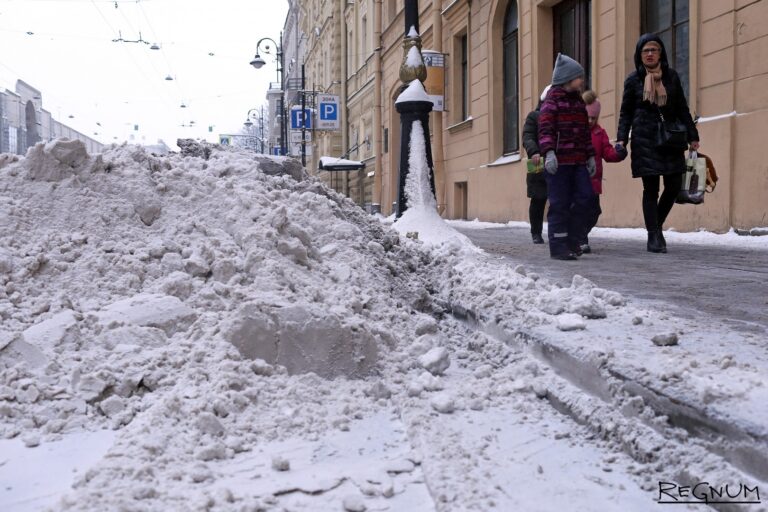 «Сдвигов не произошло»: Петербург может второй год подряд попасть в рейтинг самых грязных городов России