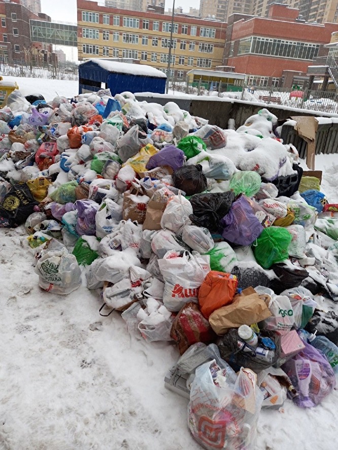 Жители Петербурга жалуются на смрад из-за невывезенных регопертором отходов