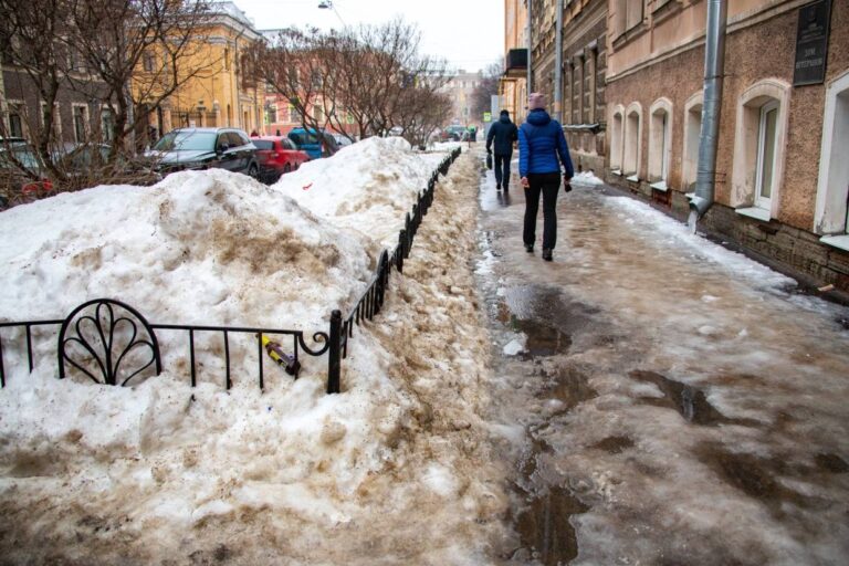 Погода стала сюрпризом для Смольного: общественник Мазуров высмеял уборку Петербурга