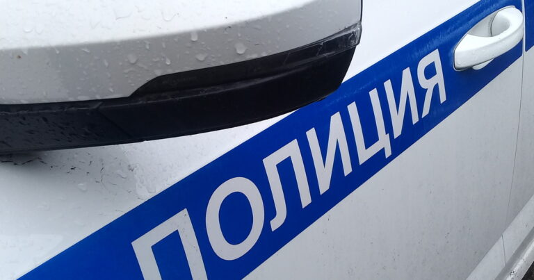 Разыскивается водитель, который сбил 17 – летнюю девушку в Ленинградской области