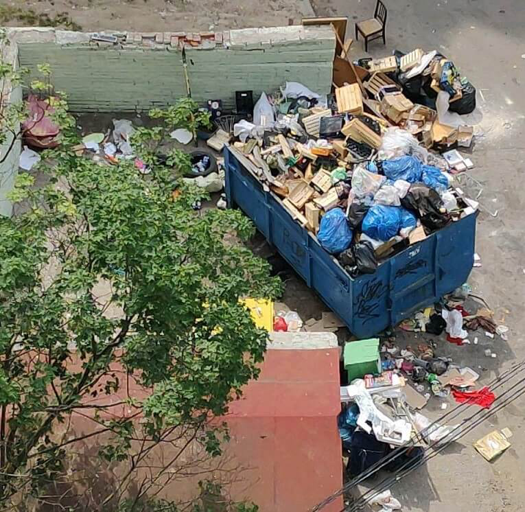 Гниль и мусор: петербуржцы призвали Смольный решить проблему с антисанитарией в городе