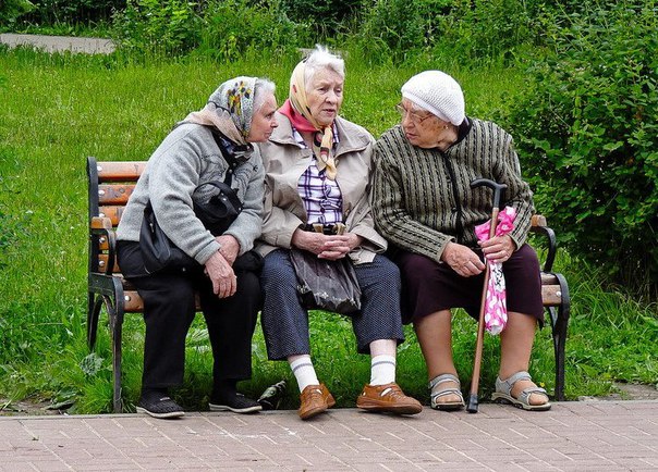 «Тихое тенистое место с одинокими скамеечками и печальными бабушками»: как чиновники Смольного видят Петербург