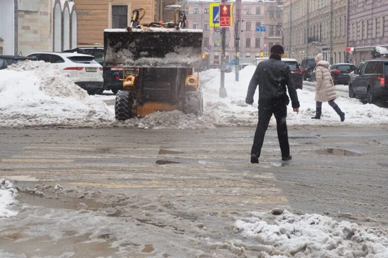 Политолог Елисеева не ожидает улучшений в организации уборки Петербурга от снега