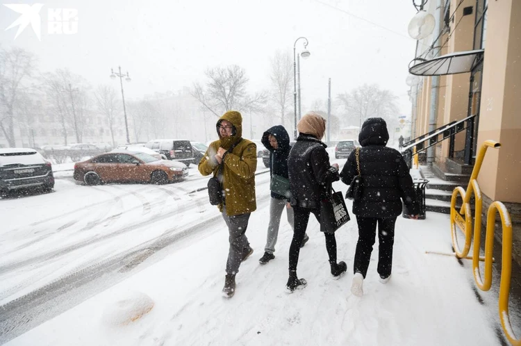 Морозова призвала Смольный качественно организовать уборку снега этой зимой в Петербурге