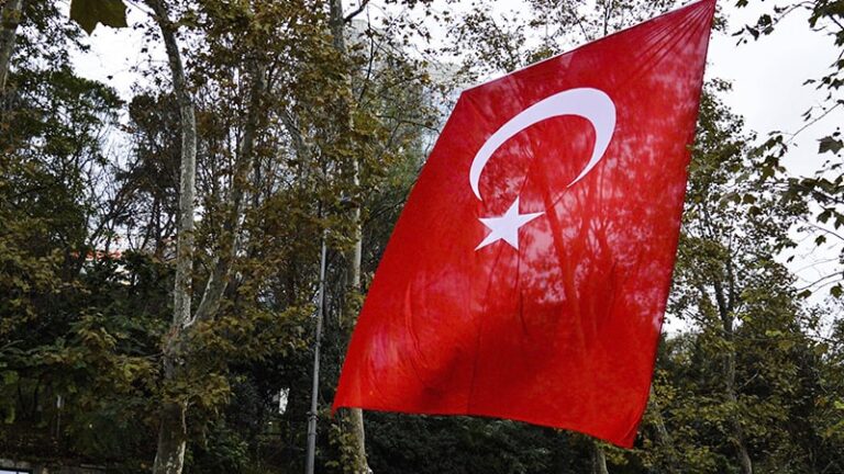 Египетский политолог Ахмед Адель: Турция готовится к военной операции против курдов после взрыва в Стамбуле