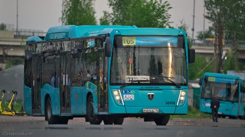 Смольный не учел географические особенности Петербурга при покупке автобусов в рамках НМТО — СМИ