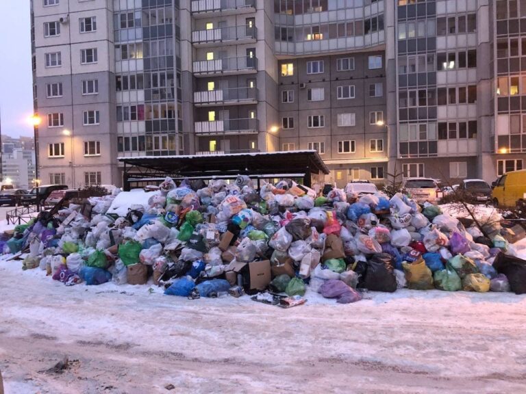 «Новогодние праздники — это испытание»: эколог Шевчук оценит работу мусорного оператора Петербурга