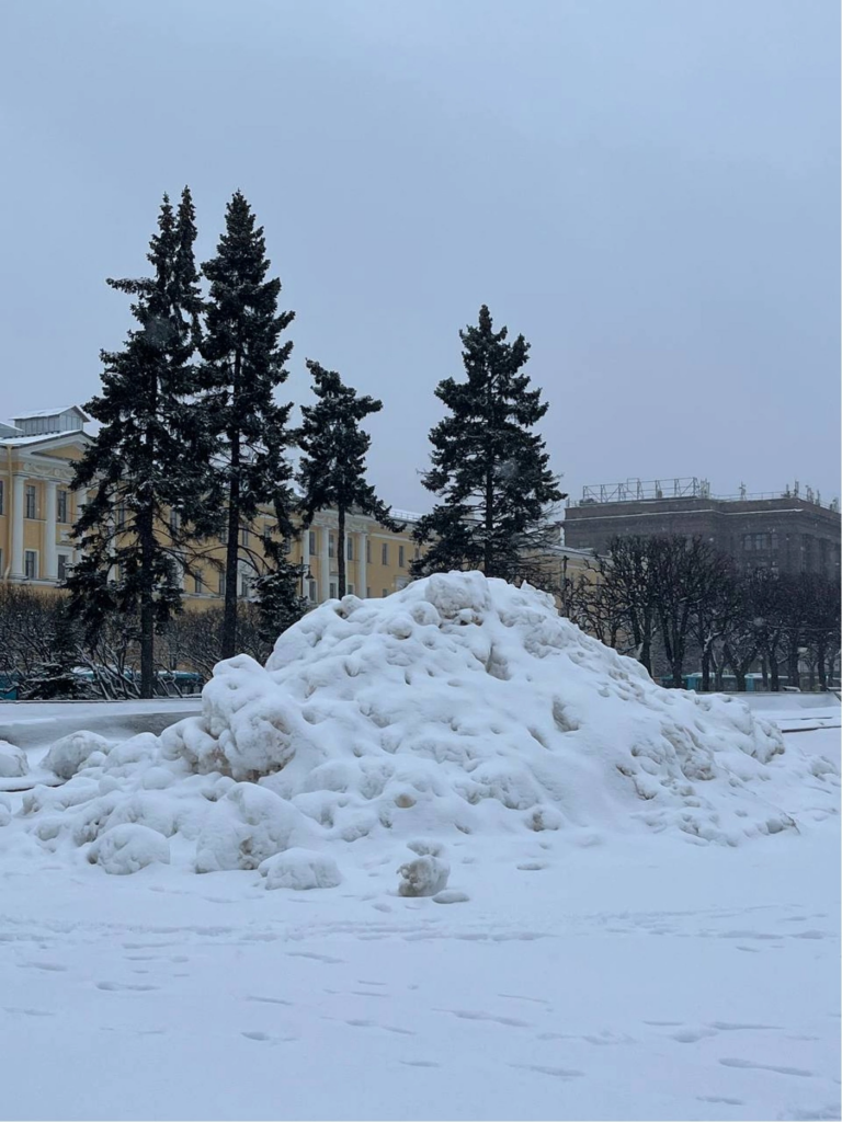 Коммунальщики не вывели на улицы нужное число техники после обильных снегопадов в Петербурге