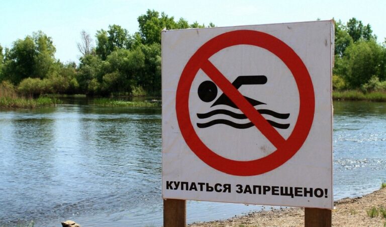 Отсутствие очистки водоемов грозит Петербургу экологической катастрофой